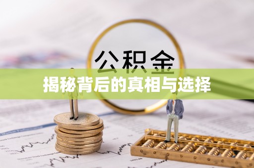 屏南揭秘背后的真相与选择