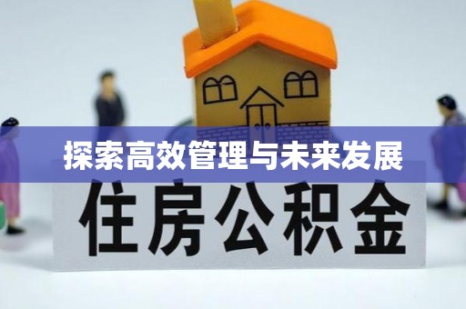 屏南探索高效管理与未来发展