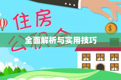 屏南全面解析与实用技巧