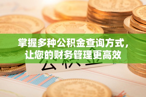 屏南掌握多种公积金查询方式，让您的财务管理更高效