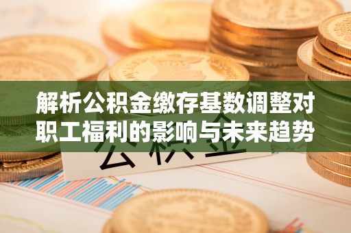 屏南解析公积金缴存基数调整对职工福利的影响与未来趋势