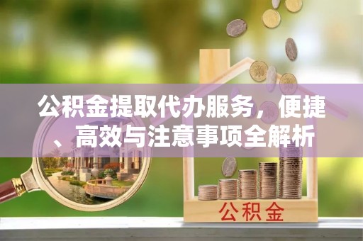 屏南公积金提取代办服务，便捷、高效与注意事项全解析