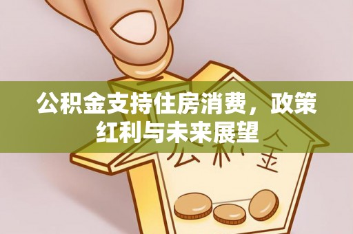 屏南公积金支持住房消费，政策红利与未来展望