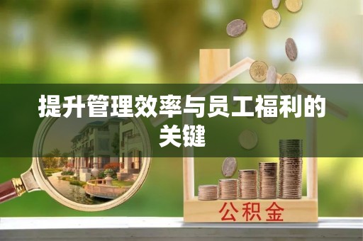 屏南提升管理效率与员工福利的关键