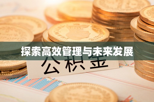 屏南探索高效管理与未来发展