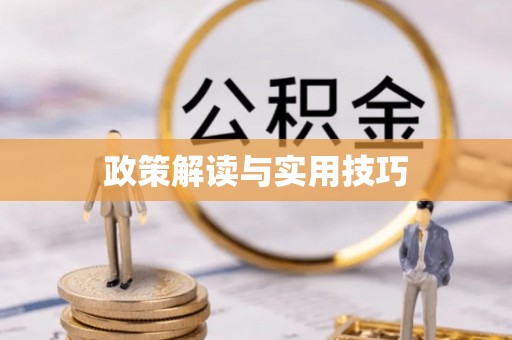 屏南政策解读与实用技巧