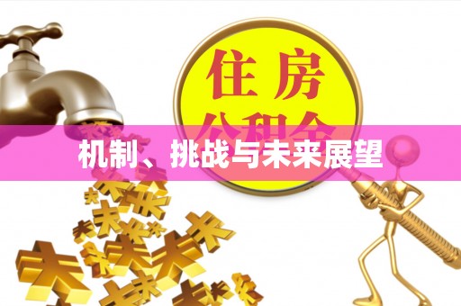 屏南机制、挑战与未来展望