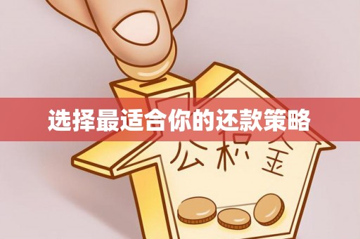 屏南选择最适合你的还款策略